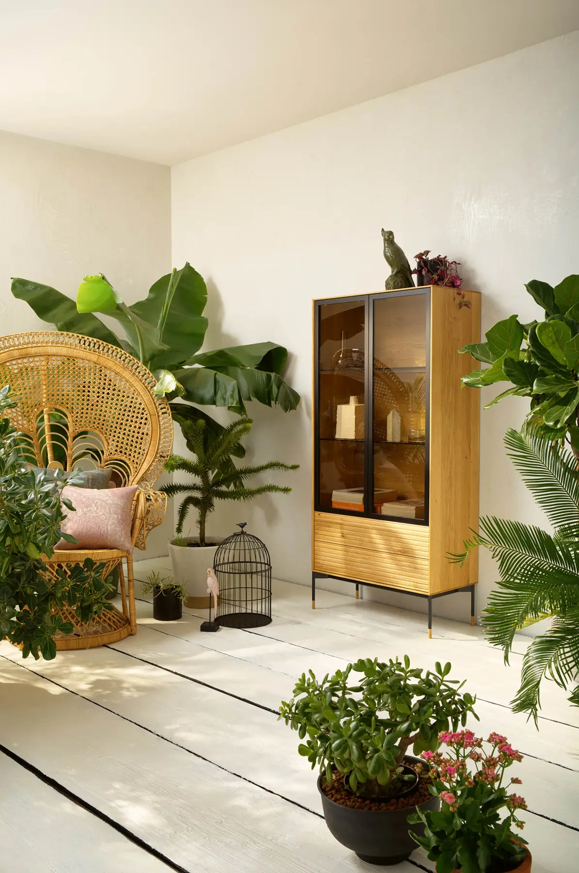 Holzvitrine mit Glasfront in einem hellen Wohnbereich mit großen Grünpflanzen
